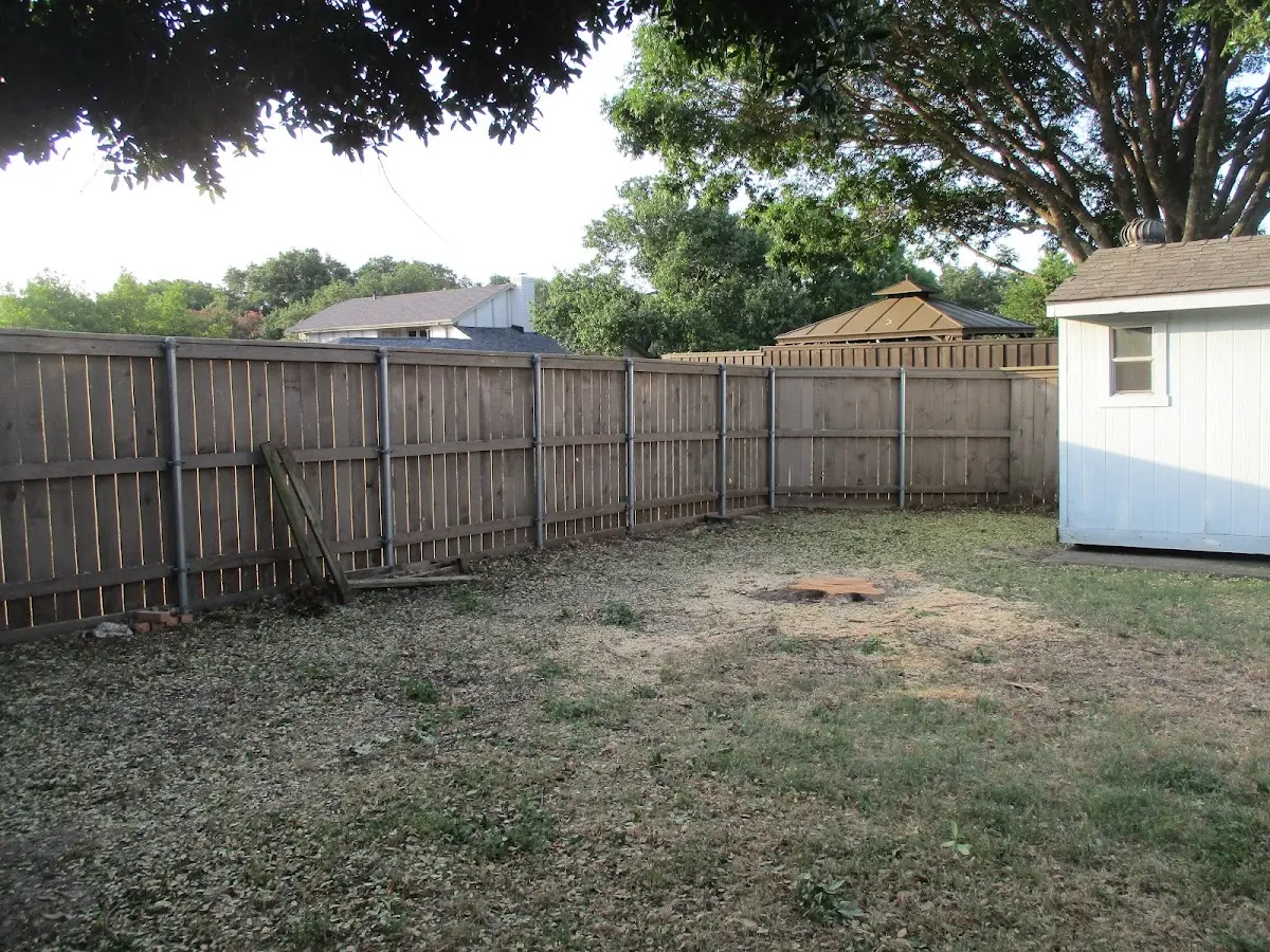 Cleared yard after professional tree removal in Okawville