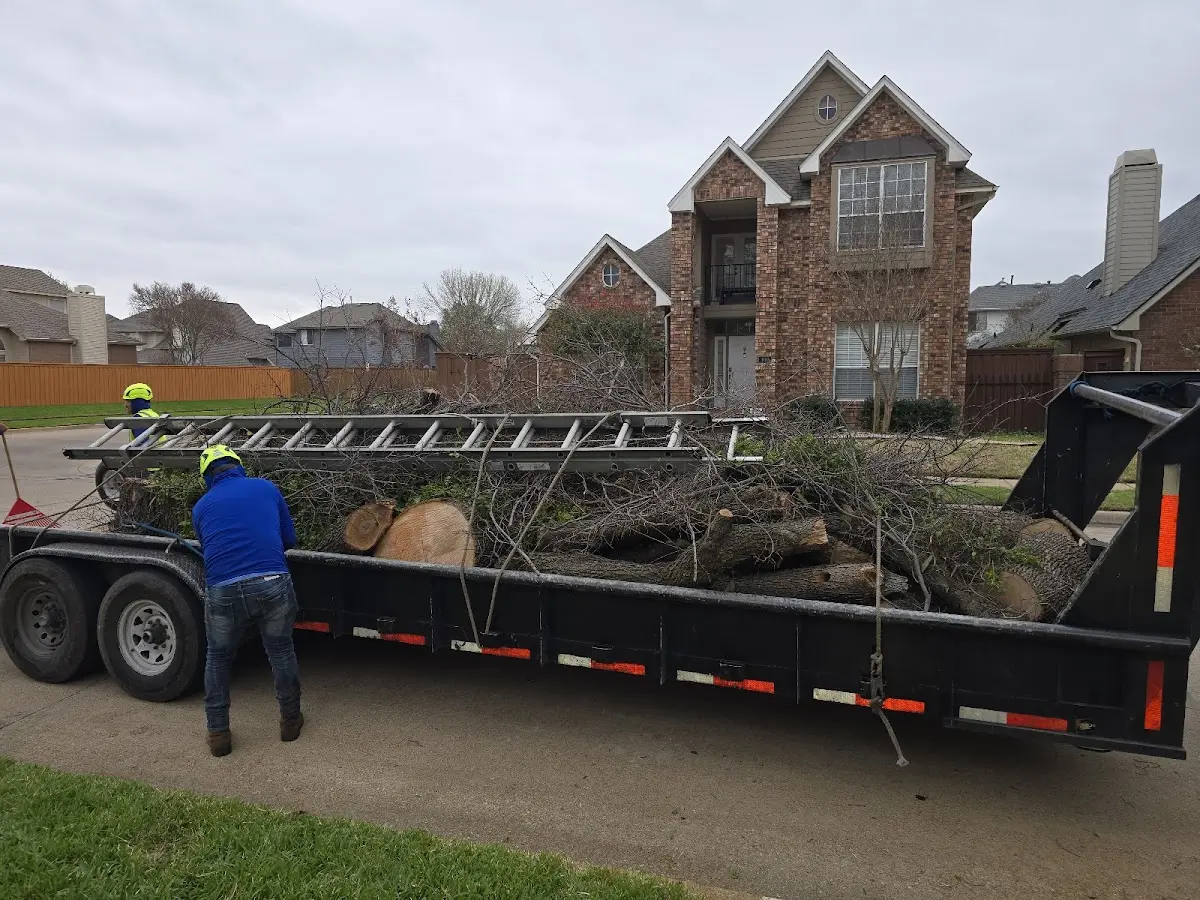 Expert Tree Pest Control with proper safety equipment in Okawville